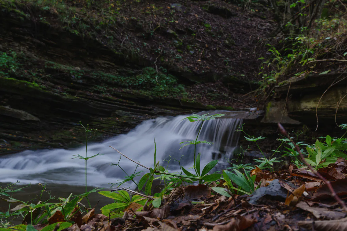 Algeti National park 03