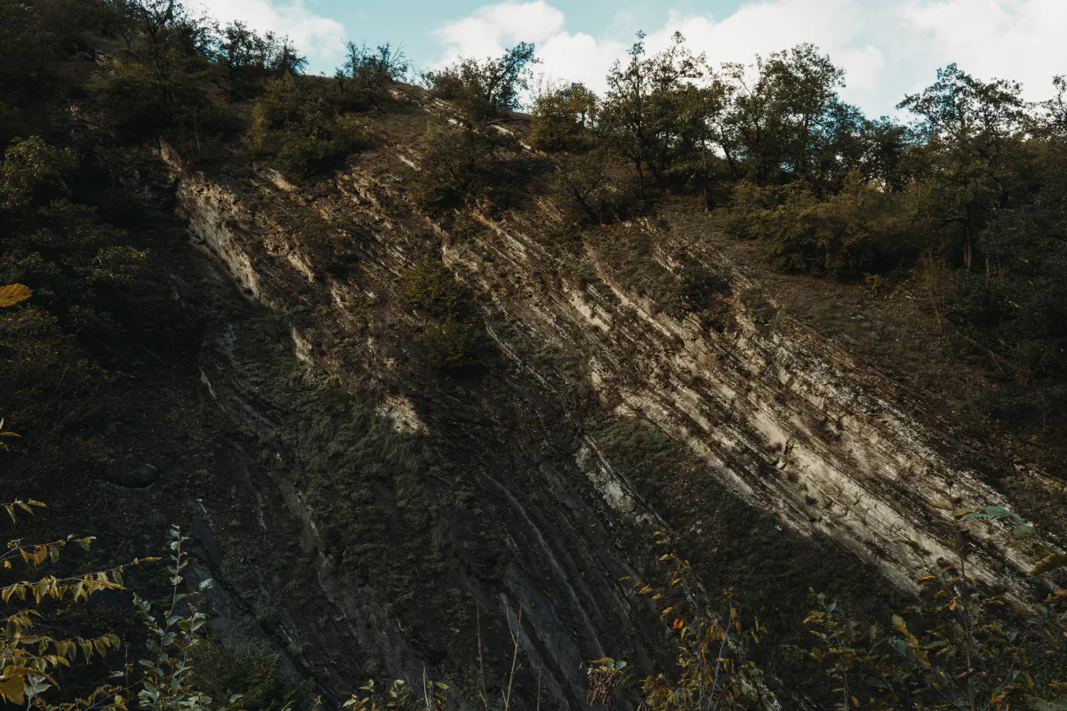 Algeti National park 04