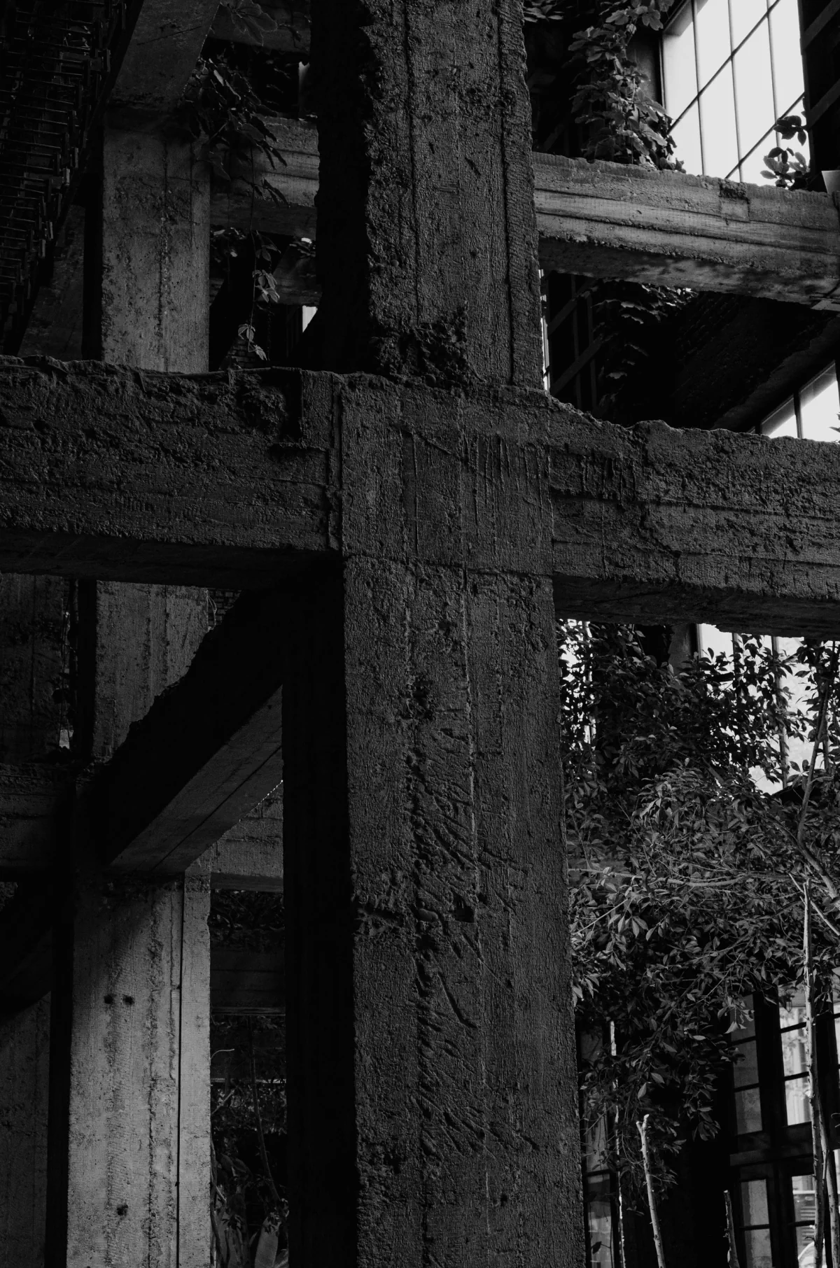 Architecture