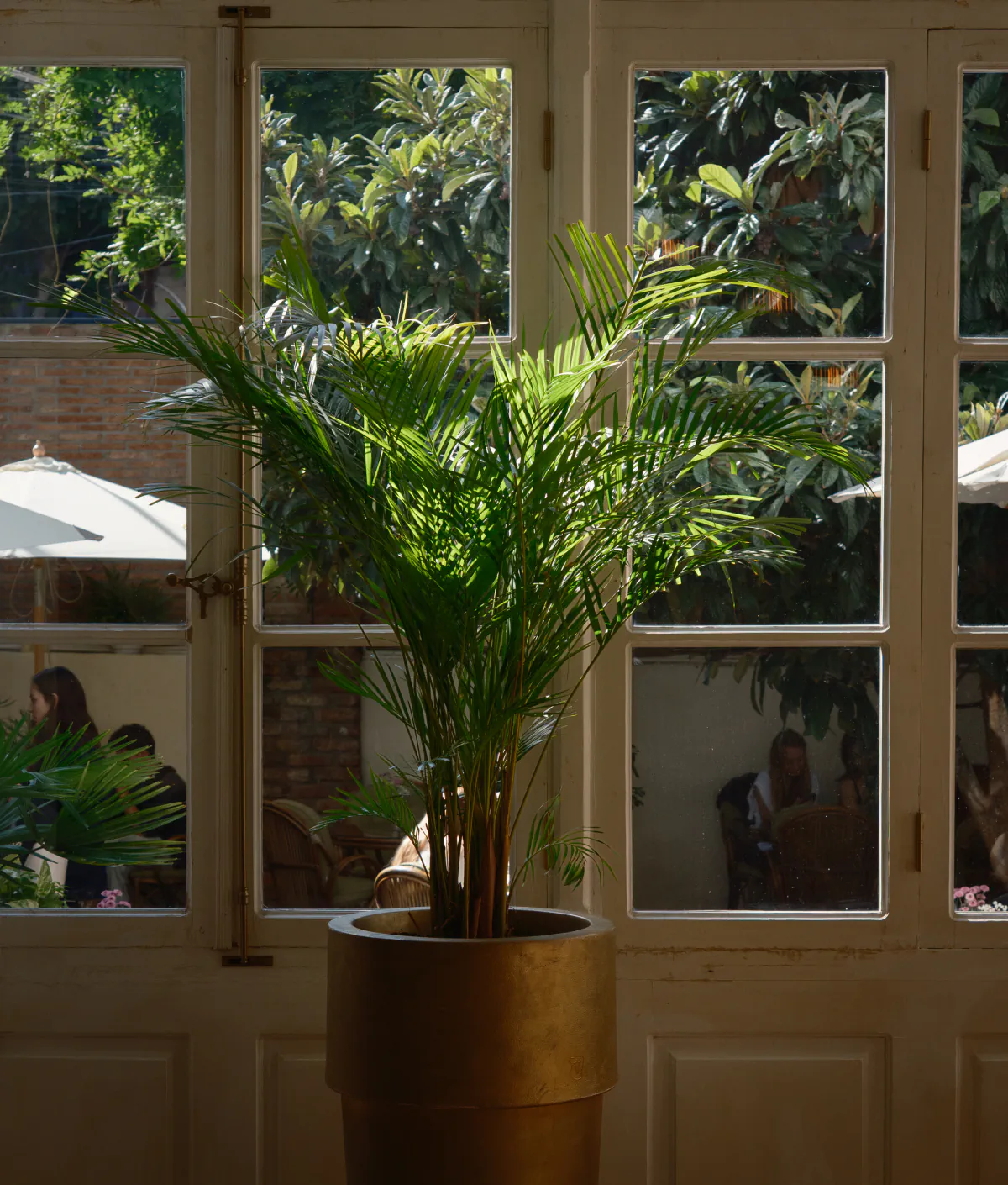 Interior — photo by Nikita Mikaev