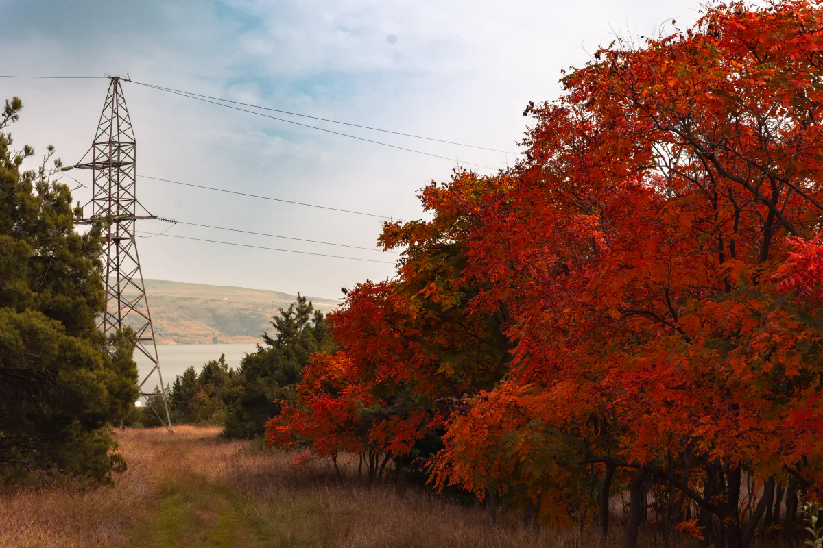 Landscape/Nature — photo by Nikita Mikaev