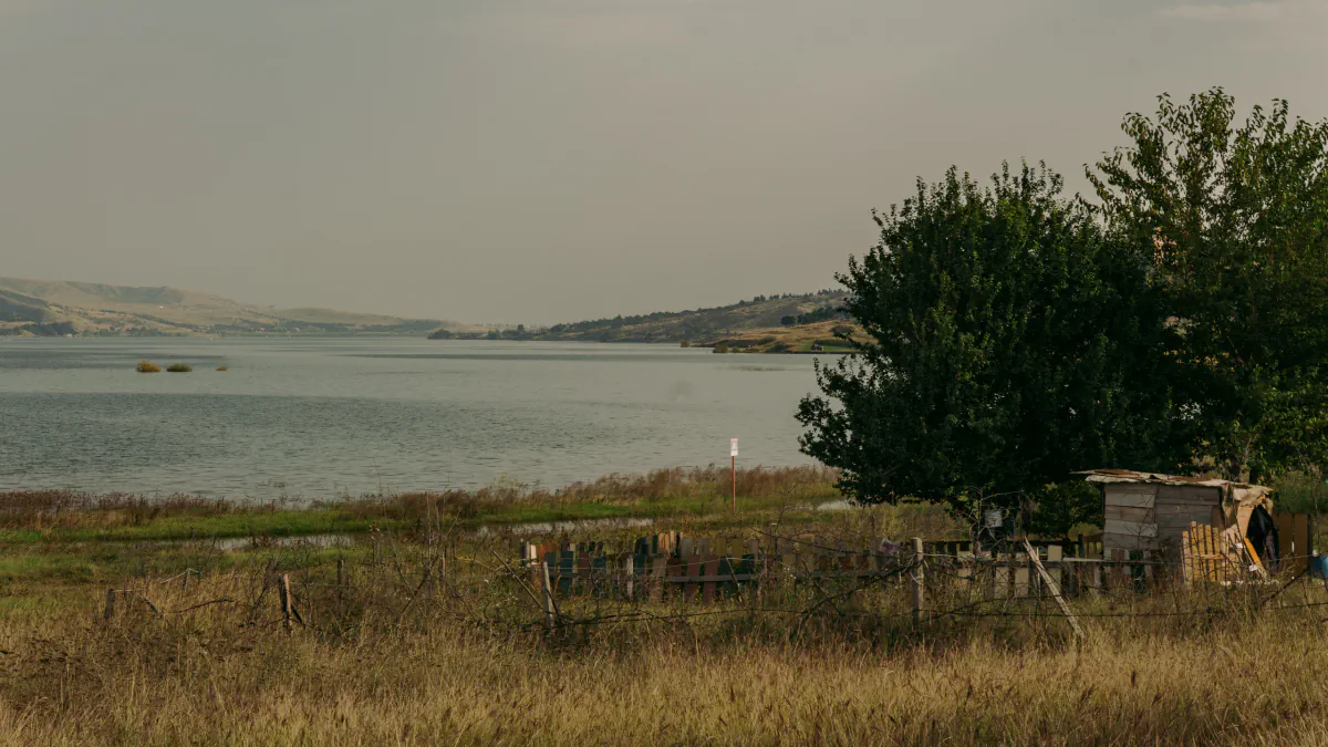 Landscape/Nature — photo by Nikita Mikaev