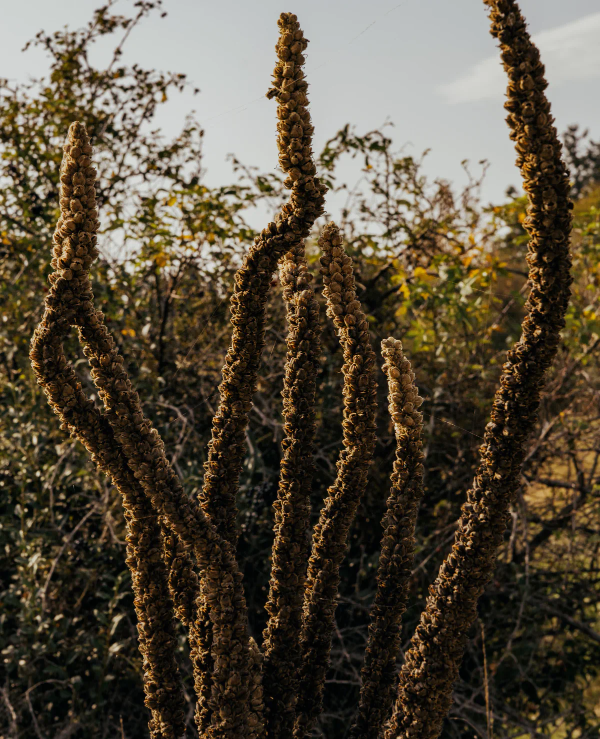 Landscape/Nature — photo by Nikita Mikaev