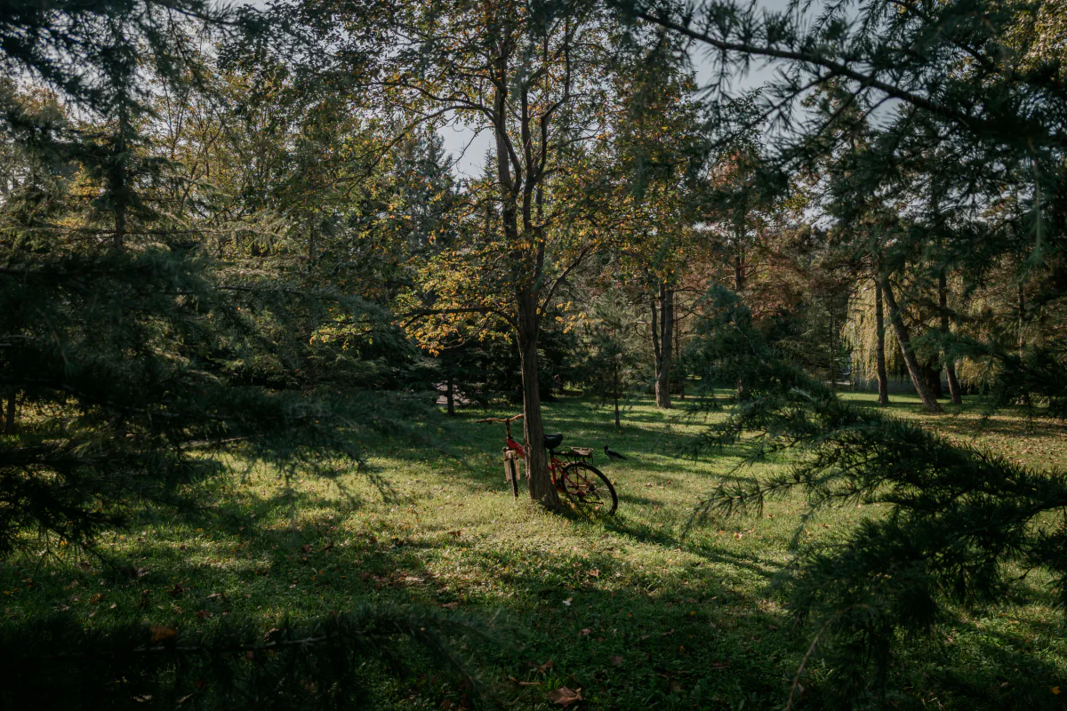 Landscape/Nature — photo by Nikita Mikaev