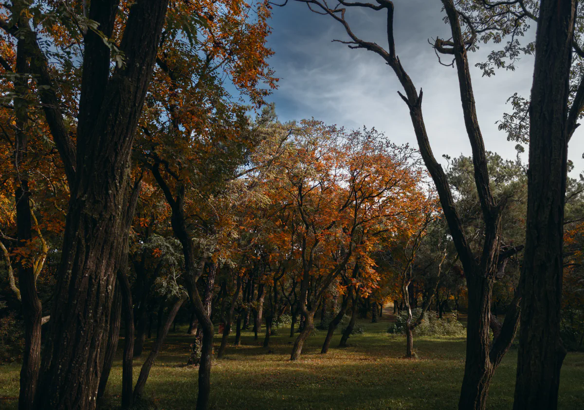 Landscape/Nature — photo by Nikita Mikaev