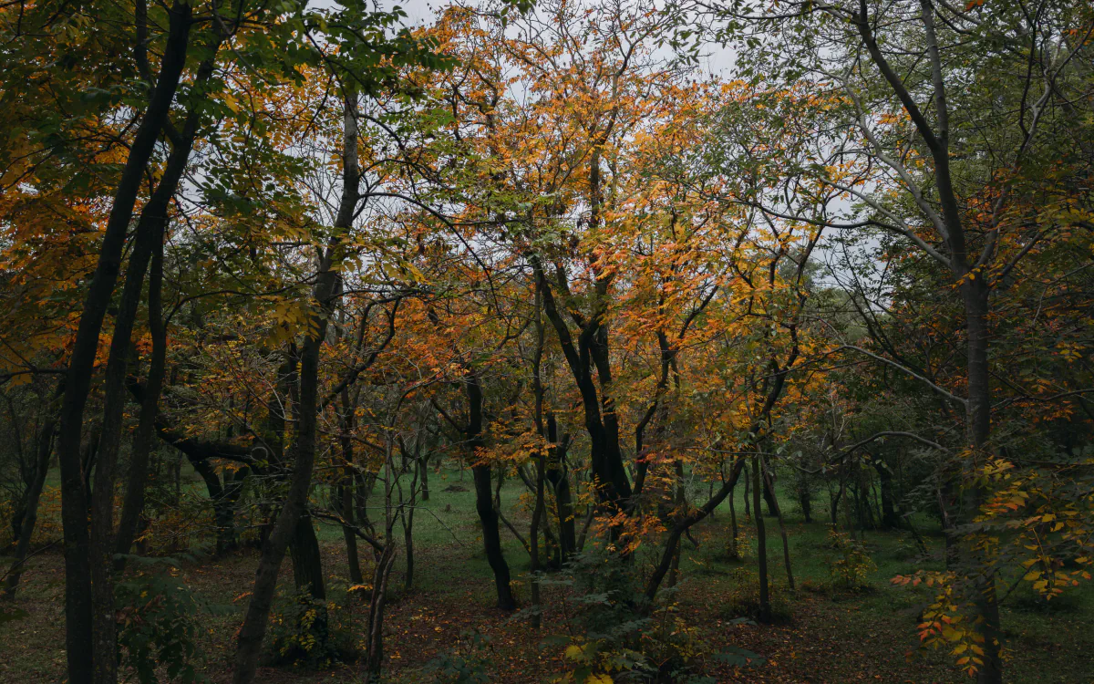 Landscape/Nature — photo by Nikita Mikaev